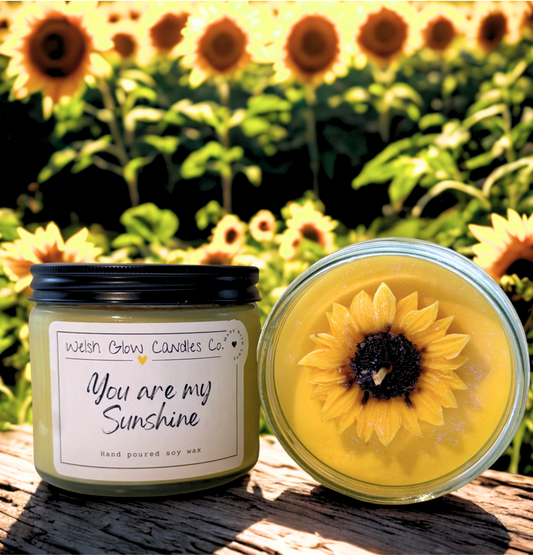 You Are My Sunshine